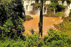 Screenshot_20241127_171327_Gallery