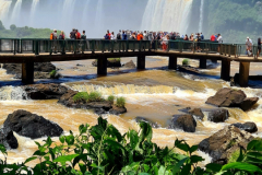 Screenshot_20241127_171812_Gallery