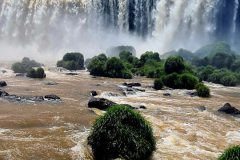 Screenshot_20241127_171905_Gallery