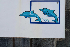 Screenshot_20240805_175033_Gallery