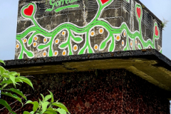 Screenshot_20240805_175345_Gallery