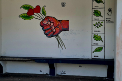 Screenshot_20240805_175424_Gallery