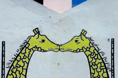 Screenshot_20240805_175841_Gallery