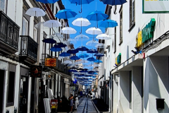 Screenshot_20240807_052119_Gallery