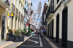 Screenshot_20240807_052152_Gallery