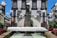 Screenshot_20240807_052215_Gallery