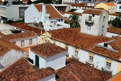 Screenshot_20240807_052340_Gallery