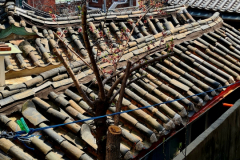 Screenshot_20240406_064954_Gallery