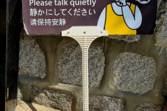 Screenshot_20240406_065022_Gallery