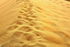 Screenshot_20241207_184937_Gallery