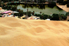 Screenshot_20241207_194932_Gallery