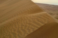 Screenshot_20241207_195304_Gallery