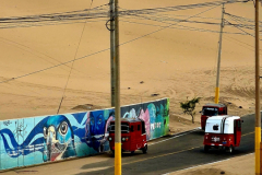 Screenshot_20241207_195505_Gallery