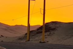 Screenshot_20241208_060708_Gallery