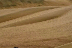 Screenshot_20241208_061056_Gallery