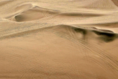 Screenshot_20241208_061316_Gallery