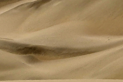 Screenshot_20241208_061501_Gallery