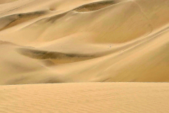 Screenshot_20241208_062658_Gallery