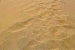 Screenshot_20241208_062909_Gallery