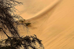 Screenshot_20241208_063043_Gallery