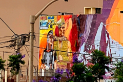 Screenshot_20241208_063211_Gallery