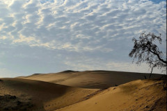 Screenshot_20241208_064248_Gallery