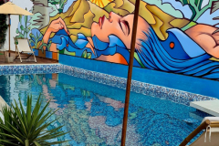 Screenshot_20241208_083613_Gallery