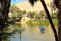 Screenshot_20241208_111318_Gallery