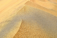 Screenshot_20241208_112059_Gallery