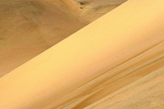 Screenshot_20241208_112148_Gallery