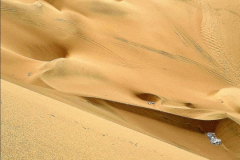 Screenshot_20241208_112251_Gallery