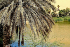 Screenshot_20241211_175504_Gallery