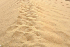 Screenshot_20241211_175800_Gallery