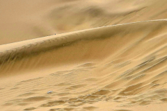 Screenshot_20241211_175830_Gallery