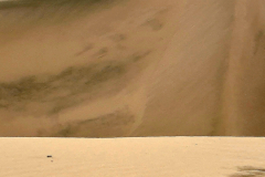 Screenshot_20241211_175845_Gallery