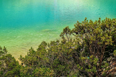 Screenshot_20241215_112136_Gallery-Kopie