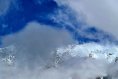 Screenshot_20241215_185534_Gallery-Kopie