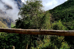 Screenshot_20241215_185718_Gallery