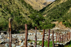 Screenshot_20241215_185834_Gallery