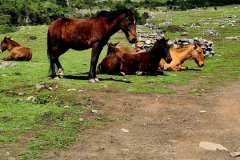 Screenshot_20241215_190006_Gallery