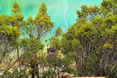 Screenshot_20241215_190350_Gallery