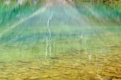 Screenshot_20241215_191131_Gallery