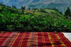 Screenshot_20241215_192129_Gallery