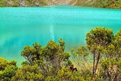 Screenshot_20241216_151456_Gallery