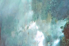 Screenshot_20250125_184708_Gallery-Kopie