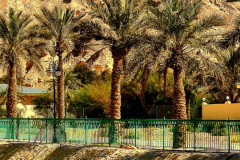 Screenshot_20250125_190532_Gallery
