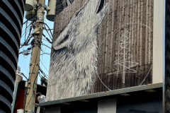 Screenshot_20240409_095250_Gallery