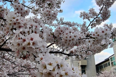 Screenshot_20240409_095341_Gallery