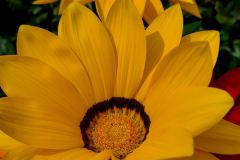 Screenshot_20240409_100638_Gallery