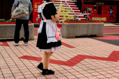 Screenshot_20240409_100745_Gallery